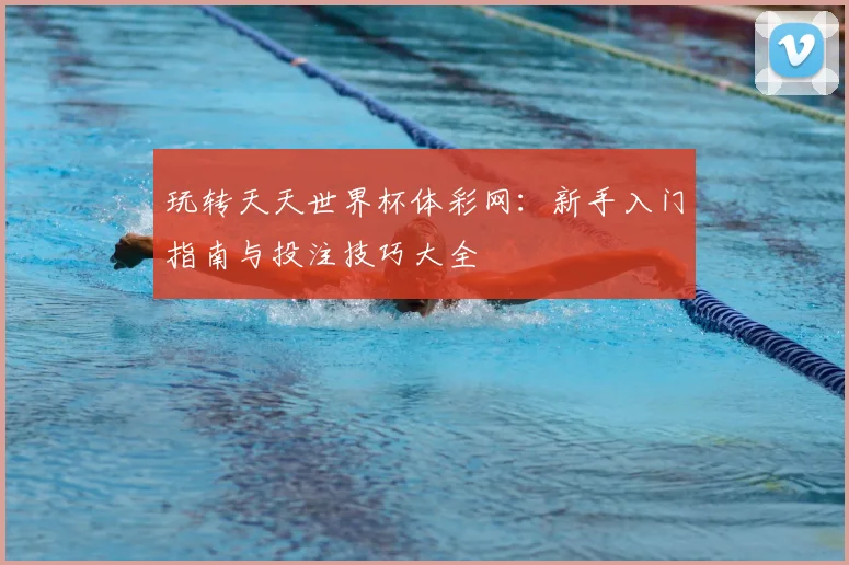 玩转天天世界杯体彩网：新手入门指南与投注技巧大全