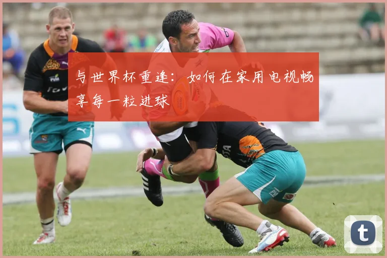 与世界杯重逢：如何在家用电视畅享每一粒进球