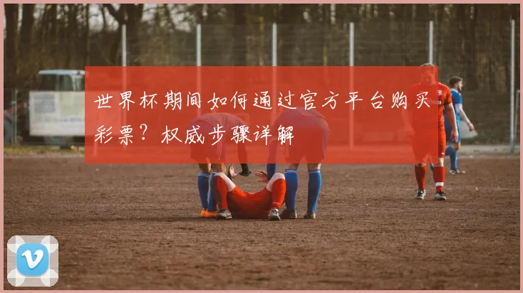 世界杯期间如何通过官方平台购买彩票？权威步骤详解